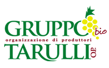 Gruppo Tarulli Società Consortile a r.l.